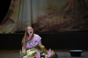 Mehr über den Artikel erfahren Antonín Dvořák, „Rusalka“ in Düsseldorf